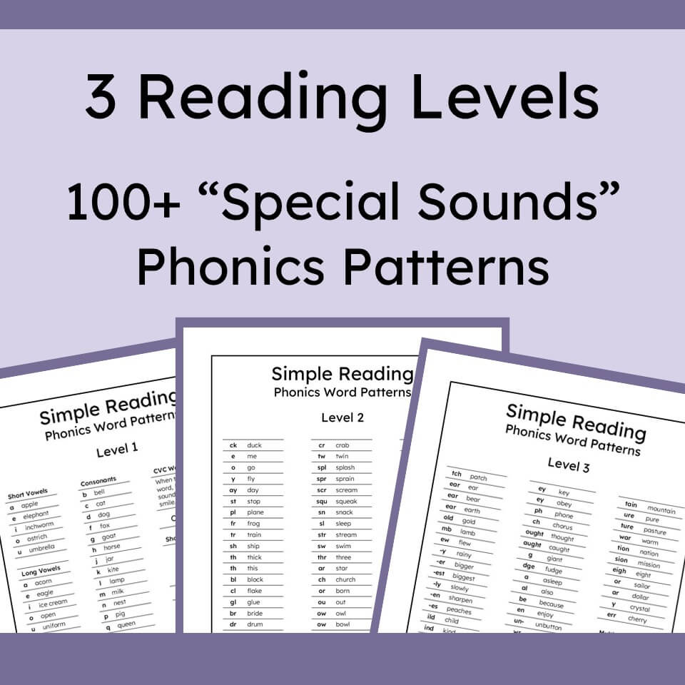 Promotional graphic for a reading practice resource showing the text '3 Reading Levels, 100+ "Special Sounds" Phonics Patterns' above three overlapping printable worksheet pages labeled 'Simple Reading Phonics Word Patterns' for Level 1, Level 2, and Level 3.